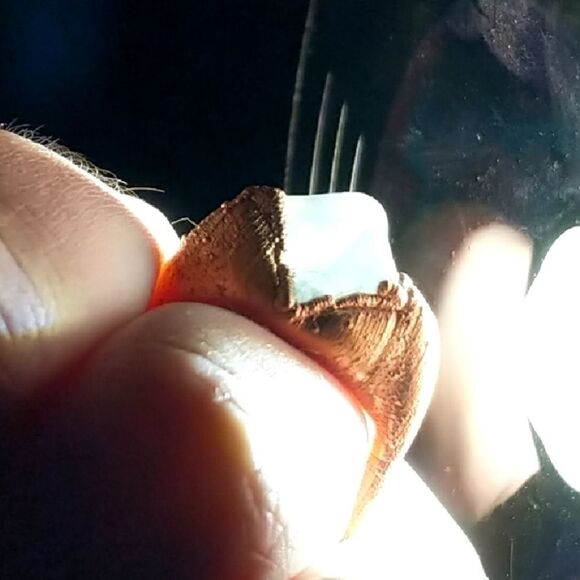 'Unphased' Size 6.5 Octagonal Green Fluorite Ring - Picture 5 of 5